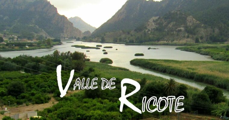 Ricote