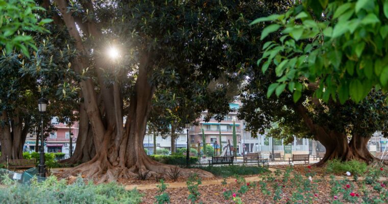 Descubre la belleza de la naturaleza en el Jardín de la Floridablanca